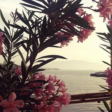 Nassa * Trappeto (Sicily)