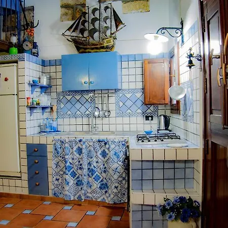 Nassa Trappeto (Sicily)