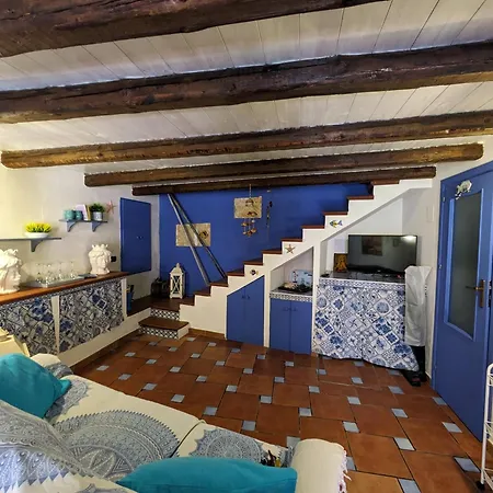 Nassa Trappeto (Sicily)